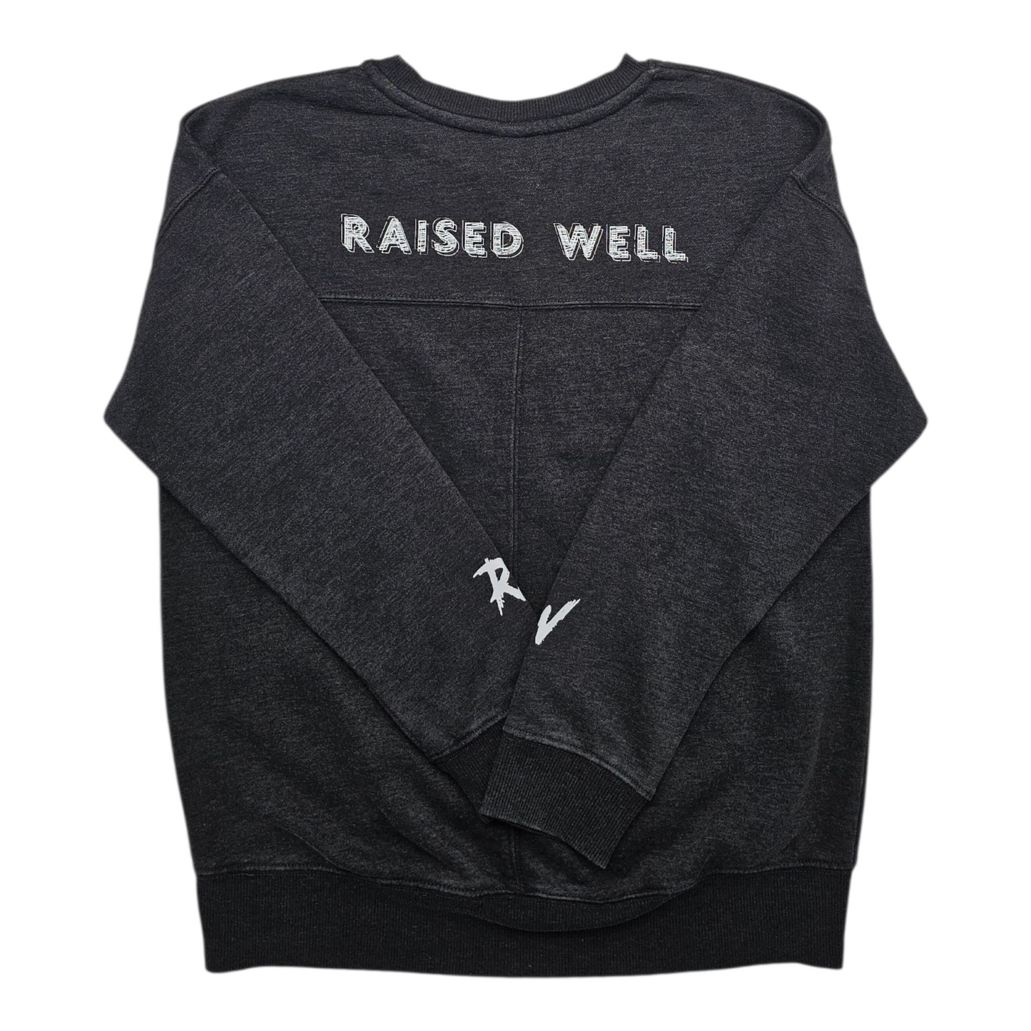 Raised Well X Art Class Sweatshirt